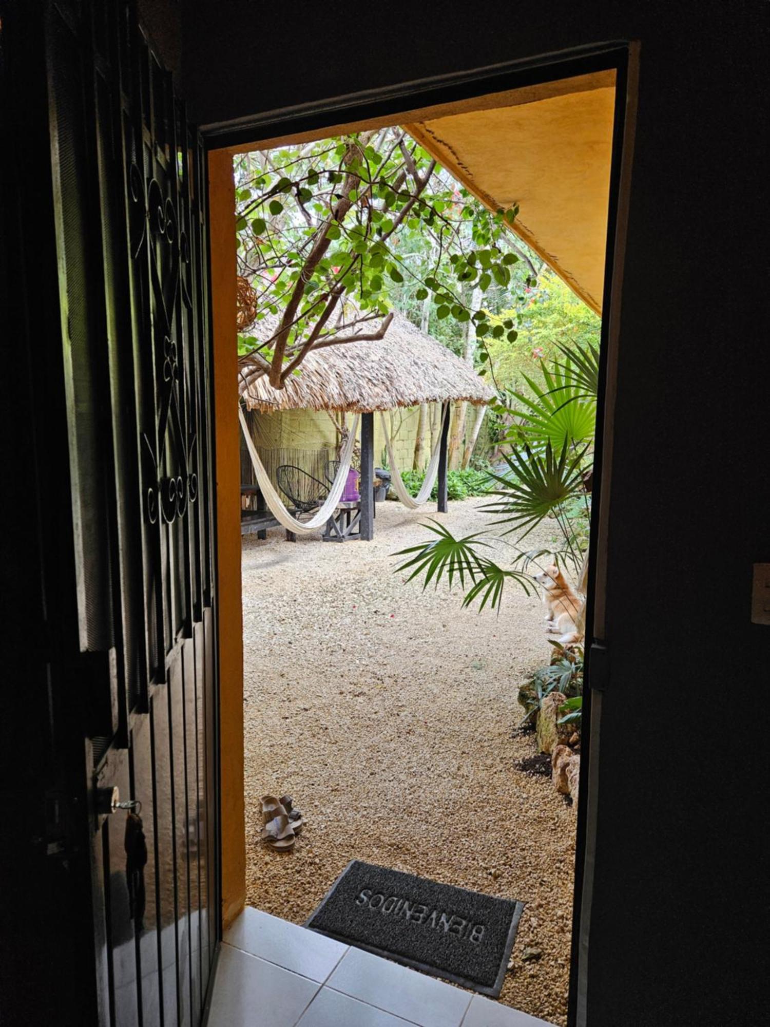Jungla Bacalar Apartment Exterior foto