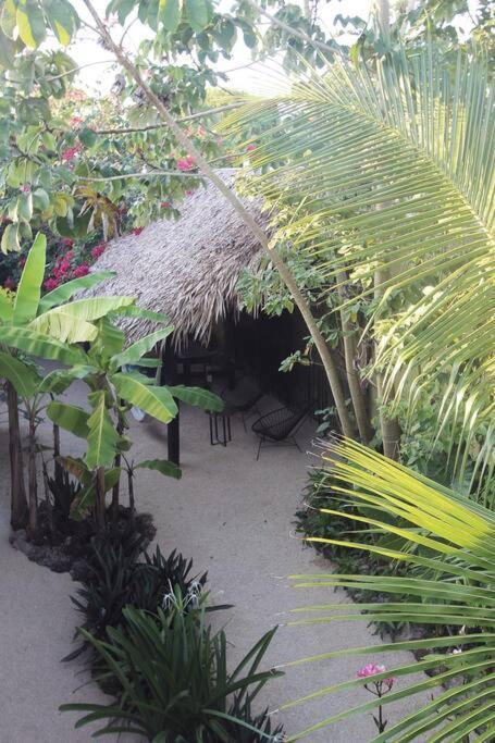 Jungla Bacalar Apartment Exterior foto