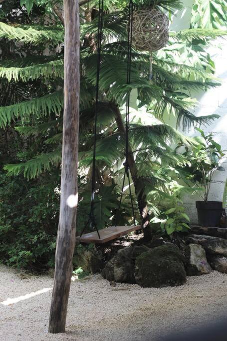 Jungla Bacalar Apartment Exterior foto