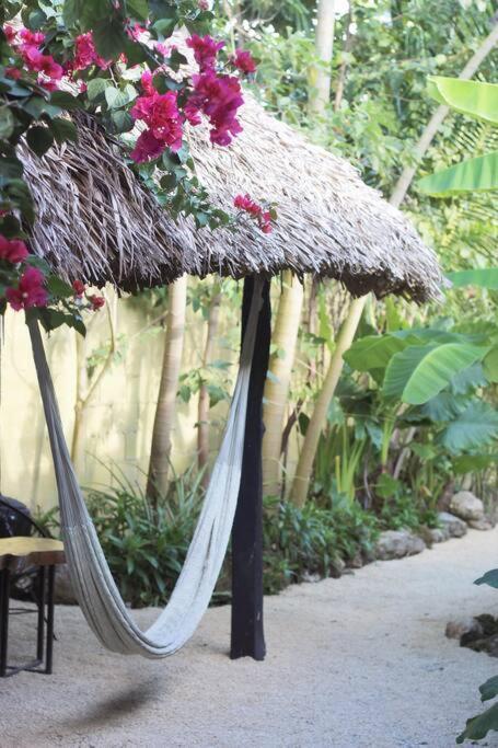 Jungla Bacalar Apartment Exterior foto