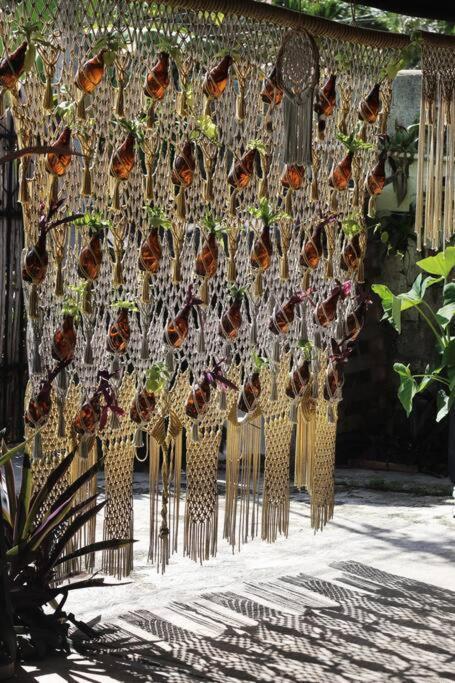 Jungla Bacalar Apartment Exterior foto