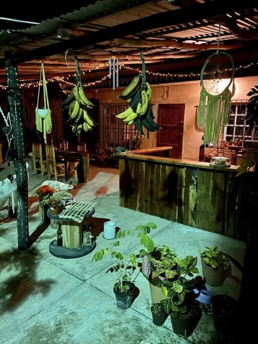 Jungla Bacalar Apartment Exterior foto