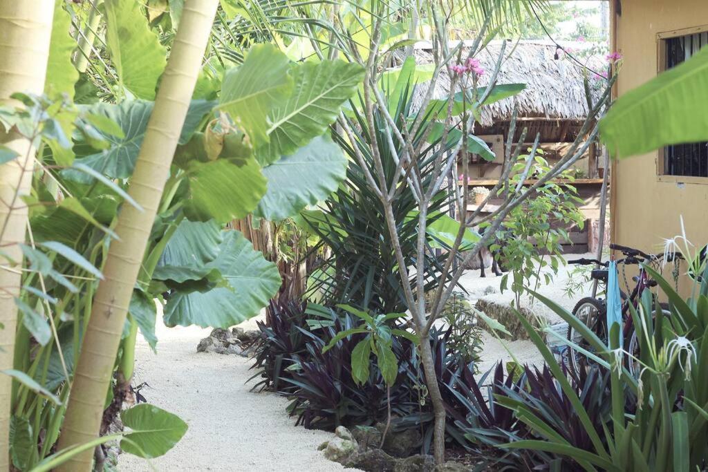 Jungla Bacalar Apartment Exterior foto