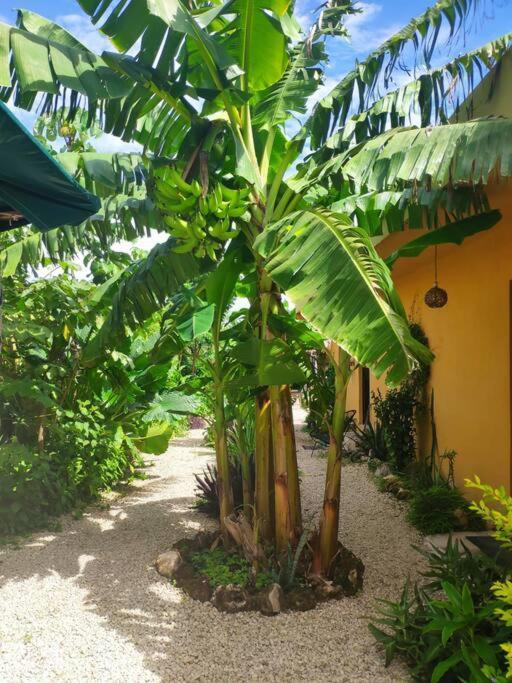 Jungla Bacalar Apartment Exterior foto